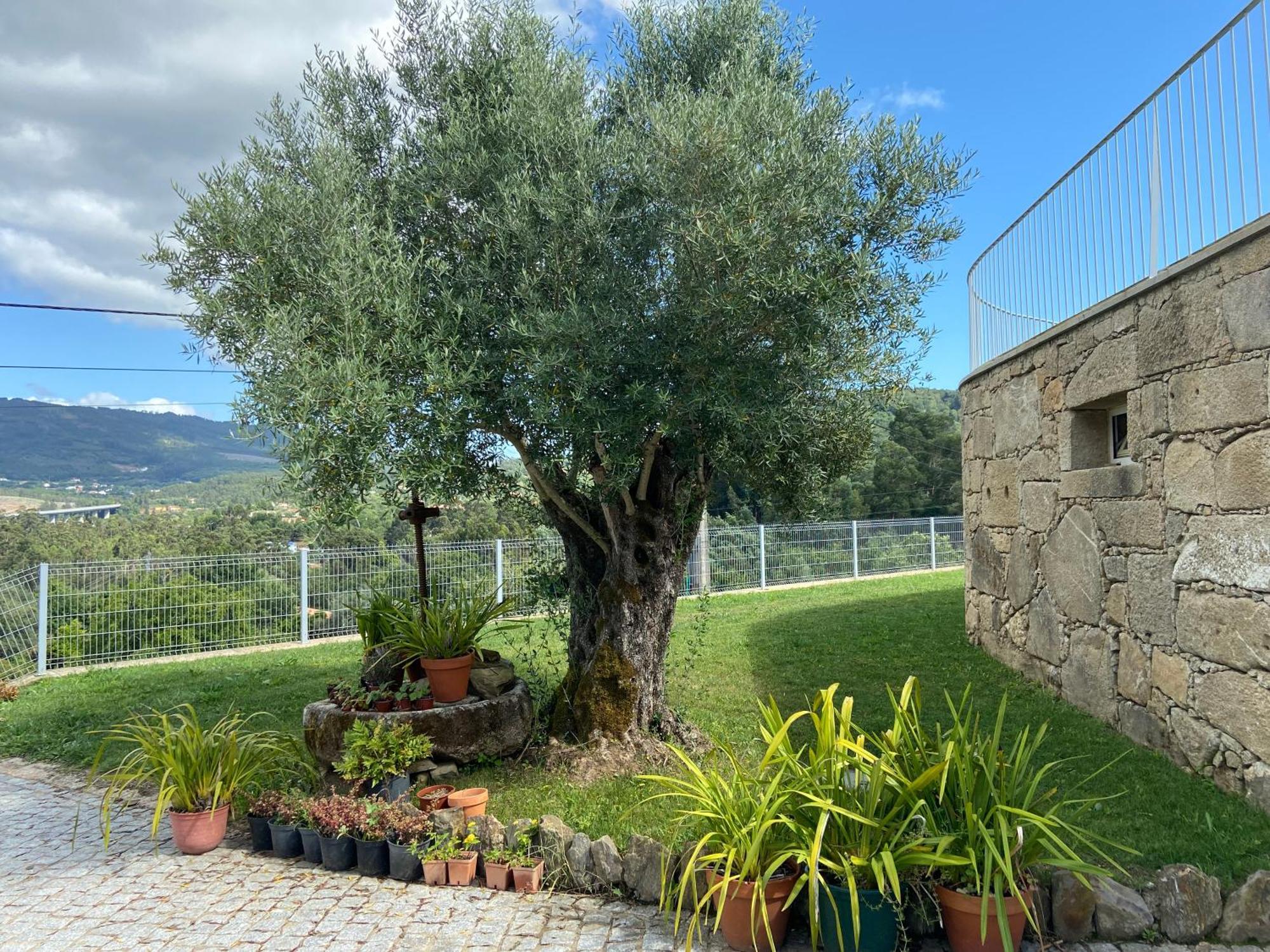 Casa Da Gandara Villa Ponte de Lima Kültér fotó